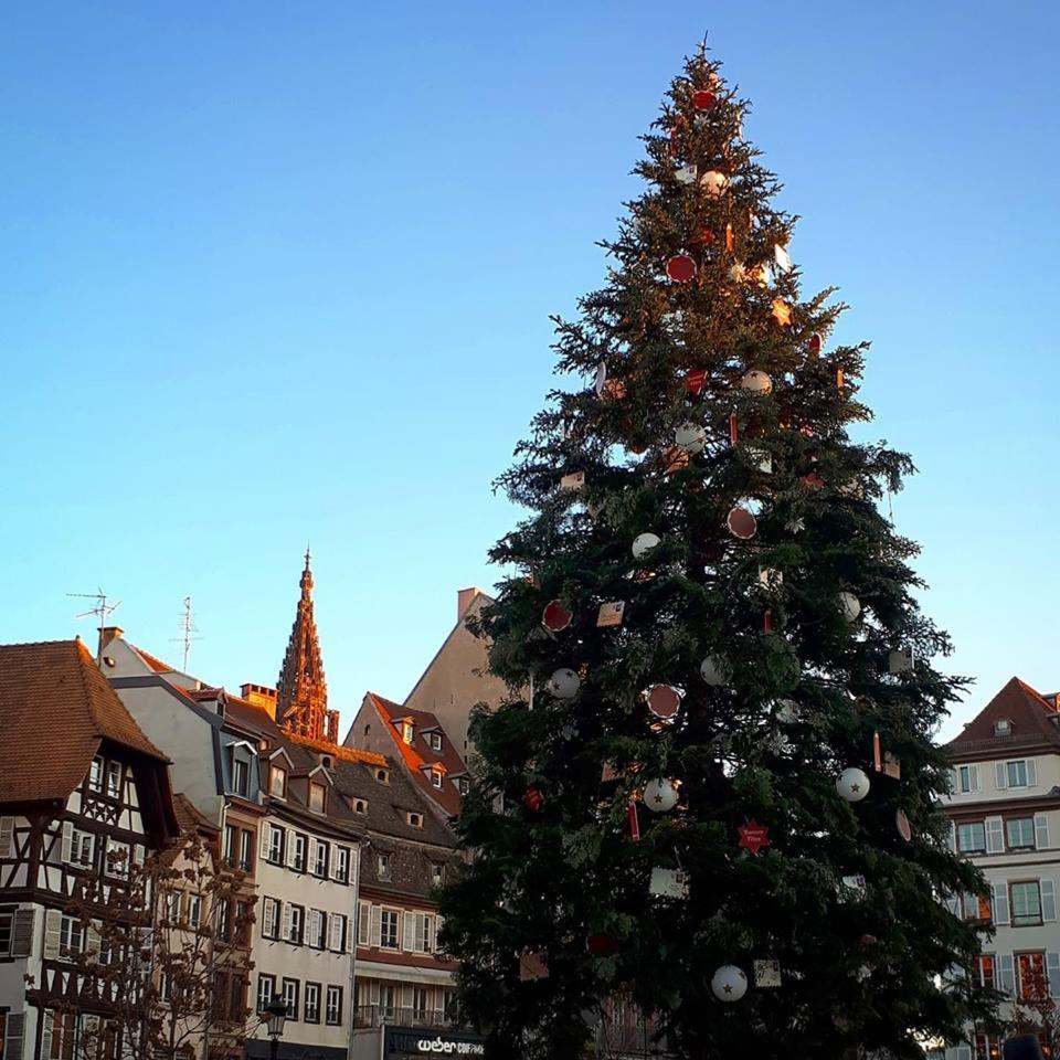 Premiere Classe Strasbourg Sud - Illkirch Exterior photo